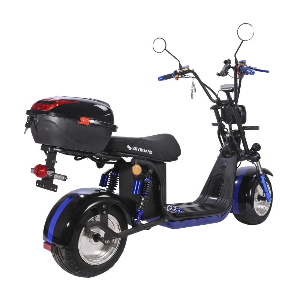 Электроскутер CityCoco Skyboard BR30-2WD (Ural) черный 5