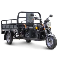 Грузовой электротрицикл Rutrike D4 NEXT 1800 60V1500W Чёрный